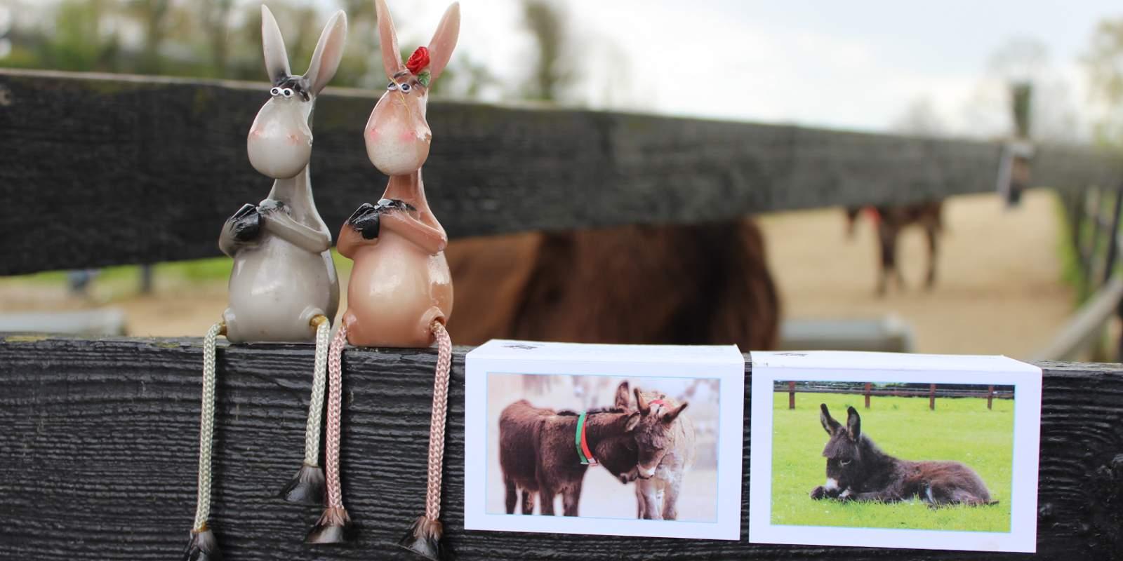 Pair of shelfie donkeys alongside wedding favour cards