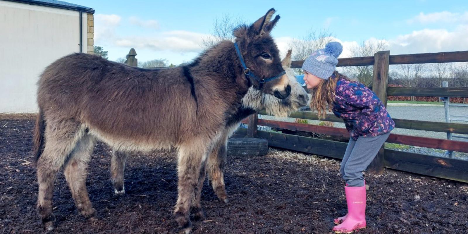 Young girl with rescued donkey