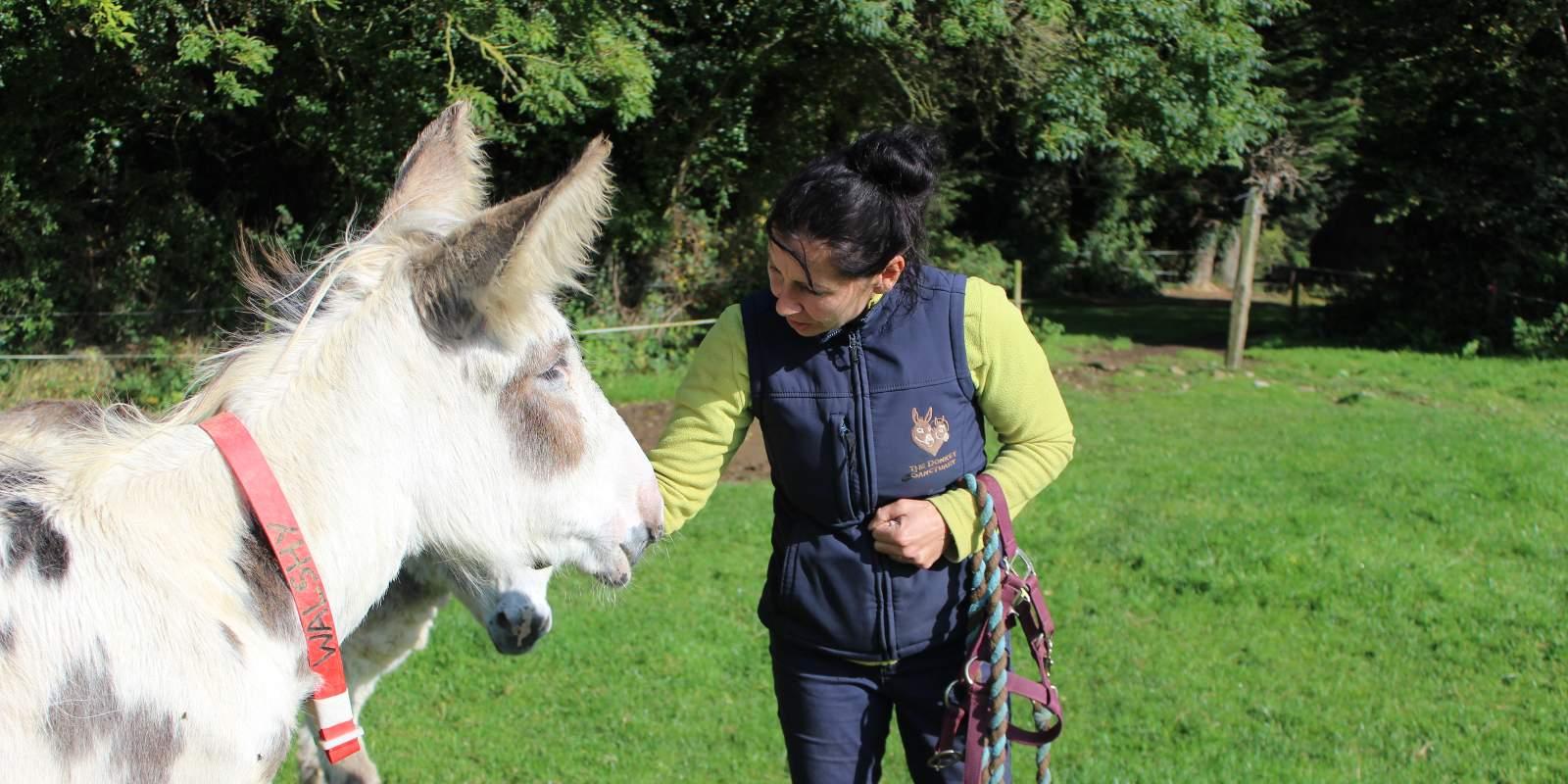 Donkeys with welfare adviser