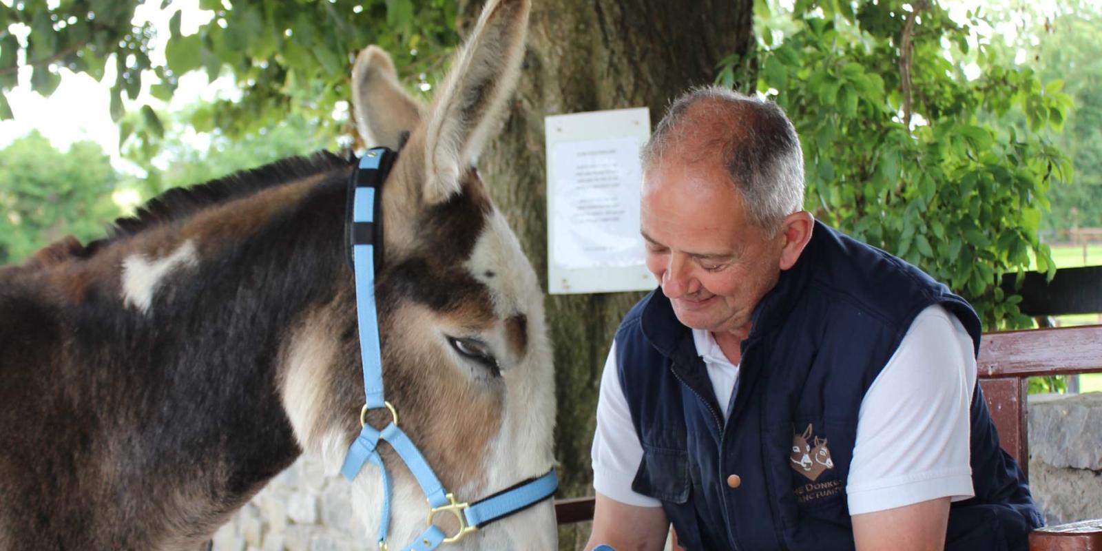 Donkey with welfare adviser