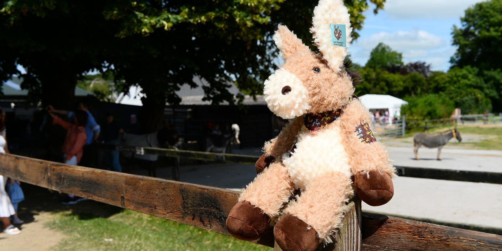 Patch the donkey toy at The Teddy Bears Picnic