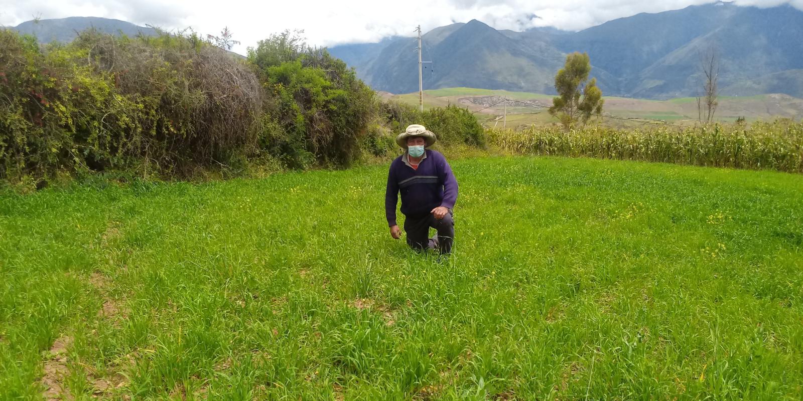 Lucio shows results of donated forage seeds