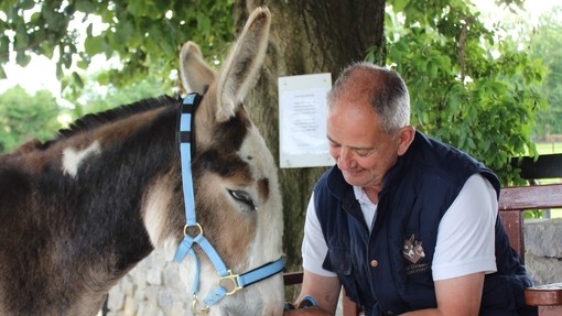 Donkey with welfare adviser.