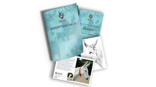 An adoption pack